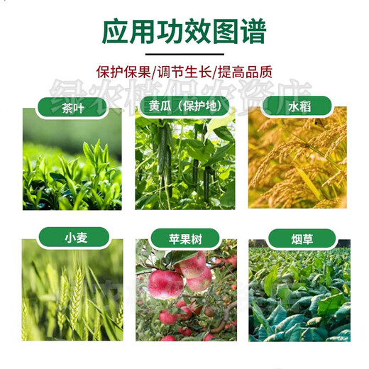 Bihu Germany imported red indium B brassica wheat fruit tree antidote to increase yield plant growth regulator pesticide 3g