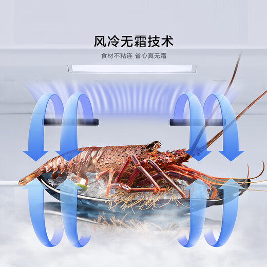 Hisense Big Mint Series 290-литровая вертикальная домашняя морозильная камера с переменной частотой, глубокая заморозка, быстрая заморозка, первоклассный энергоэффективный, безморозный холодильник с воздушным охлаждением BD-290S3LNKQD