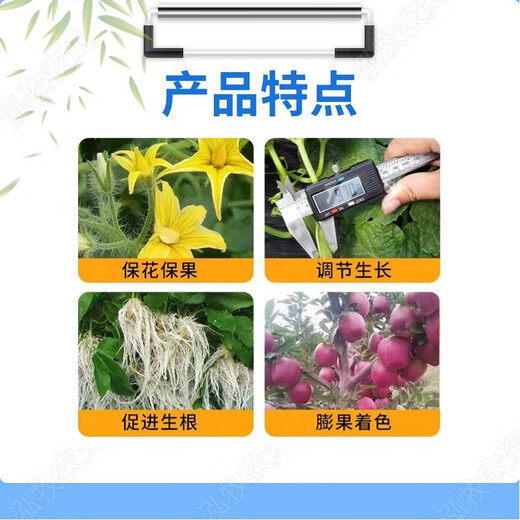 Quanfeng 98% ethanol DA-6 improves chlorophyll, drought resistance, cold resistance, flower preservation, fruit promotion, plant growth regulator 1kg (1 pack)