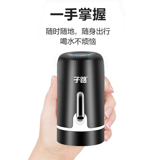 Zilu (ZILU) bottled water pump, electric water dispenser, water suction pump, automatic mineral water pressure water dispenser, water dispenser pump, upgraded double pump model, quiet and super fast water delivery, black