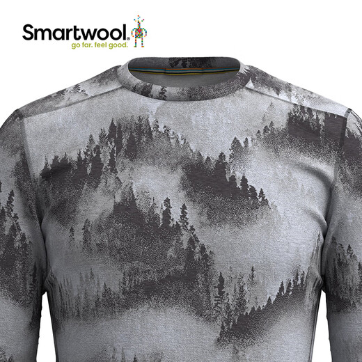 SMARTWOOL Men's 250 Series 100% Merino Wool Tops Outdoor Warm Long Sleeves Machine Washable 6350 Clearance Men's 6350 Carbon Gray Matte Pine P20 (New Color) S (European Sizes Too Large)
