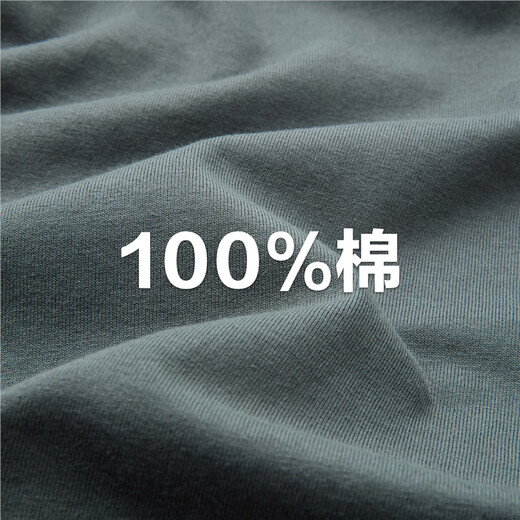 Giordano Henley shirt men's pure cotton solid color bottoming shirt men's Henley collar long-sleeved T-shirt men 01024821