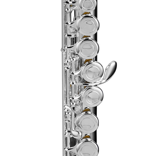 星海长笛镀银C调16键闭孔长笛初学专业院校考级乐器16孔C调镀银XF-100