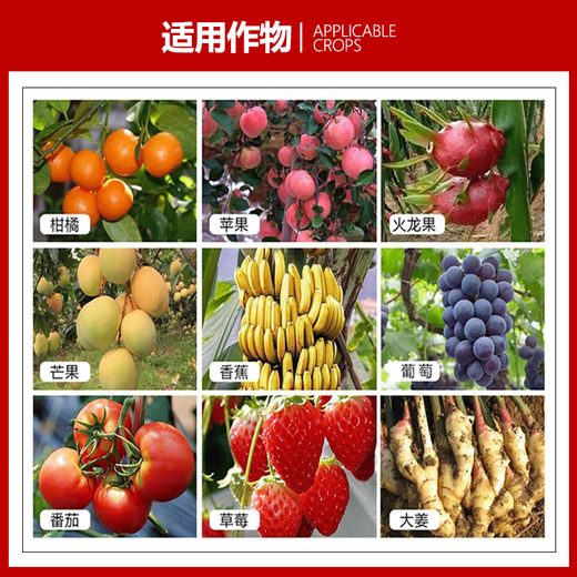 Manmanlong Compound Fertilizer 15-15-15 High Concentration Potassium Sulfate Nitrogen Phosphorus Potassium Balanced Fertilizer for Fruit Trees, Vegetables and Flowers Universal Balanced Compound Fertilizer 100Jin Jin is equal to 0.5kg *10 bags (half a ton)