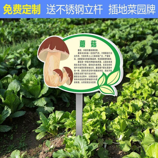 Introduction to Vinoya vegetables, vegetable garden vegetable patch, vegetable signage, vegetable variety display board, introduction to vegetables and fruits, 20x30cm (smaller size) 01 type + free stainless steel pole and screws