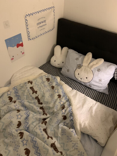 Pupan 2025 New Milk Velvet Blanket Thickened Lamb Velvet Multifunctional Small Blanket Sofa Nap Cover Ins Style Fair Isle Puppy Blue High Quality Quick Release Children 70x100cm Soft Milk Velvet | Skin Friendly and No Shedding