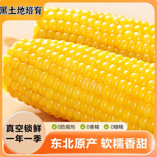Fresh vacuum yellow corn heated ready-to-eat big sticks starting from 200g single stick for meal replacement breakfast essential supermarket live broadcast room 200g*3 sticks