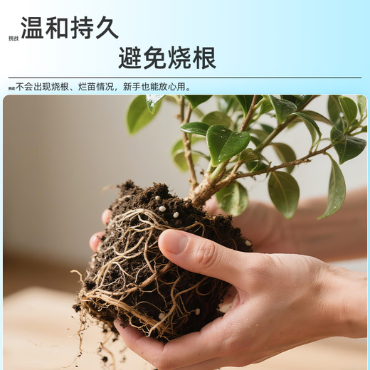 Dewoduo sheep manure organic fertilizer 5KG universal plant potted flower fertilizer flower green plant sheep manure egg fermented sheep manure fertilizer Inner Mongolia