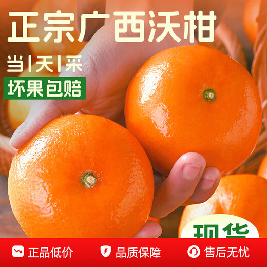 【东东农场】正宗广西武鸣沃柑新鲜采摘自然生长爆甜 沃柑带箱6斤 单果65mm+