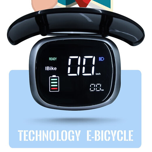 Feige electric tricycle for elderly people walking and leisure household small battery car for women new national standard electric tricycle V1 800W72V24A black gold 6 batteries about 130 miles