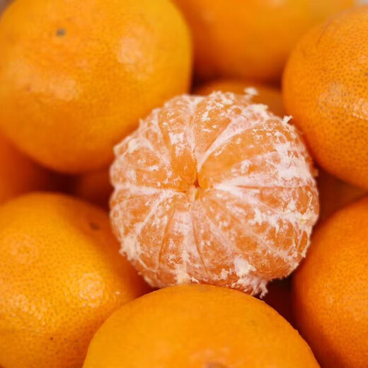 Interesante sabor de la fruta de mandarina Zhejiang Yongquan con un diámetro de 65-80 mm, un peso neto de 4,5 Jin Jin equivalente a 0,5 kg, directamente de la fuente.