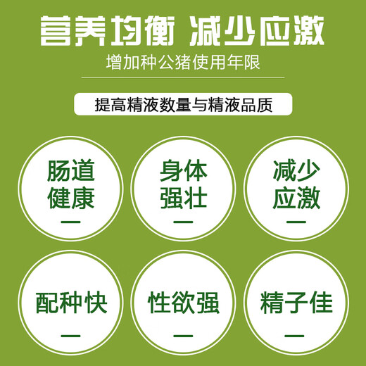 East China Zhengda 4% boar premix with comprehensive nutrition, fast breeding, good sperm quality, strong limbs and hooves 1 bag