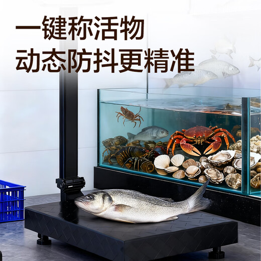 Deli Electronic Scale Commercial Platform Scale Floor Scale Accurate Weighing Industrial High-Precision Stall Floor Scale Desktop Pricing Scale Floor Scale 150kg Carbon Steel Scale Pan-Foldable Back Tilt