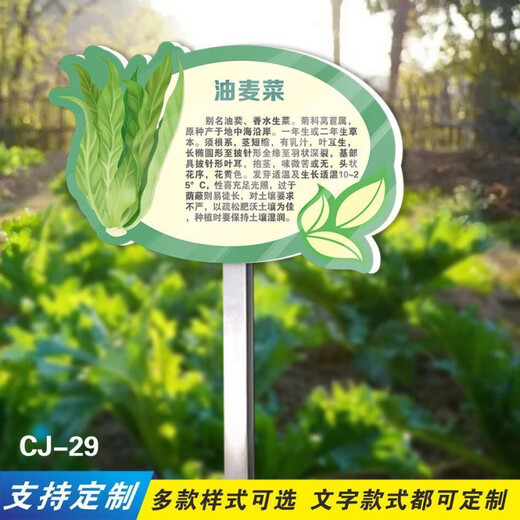 Introduction to Vinoya vegetables, vegetable garden vegetable patch, vegetable signage, vegetable variety display board, introduction to vegetables and fruits, 20x30cm (smaller size) 01 type + free stainless steel pole and screws