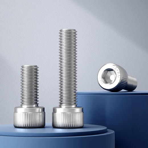 Bairuite (bairuite) 304 stainless steel hexagon socket screw screw extended cylindrical head cup head hexagon socket bolt DIN912 screw M6*20 20 pieces