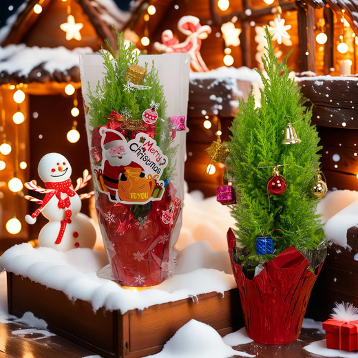 Merry Christmas small pine potted plant