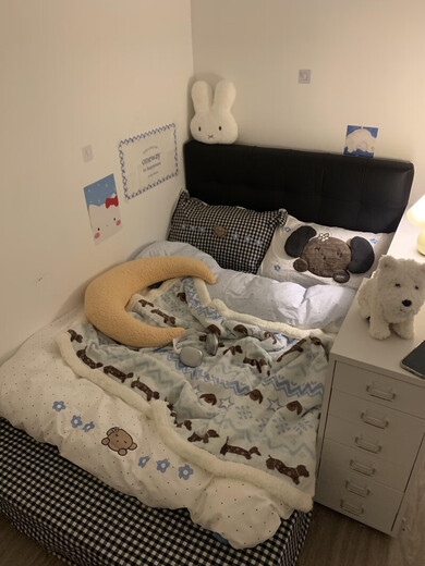 Pupan 2025 New Milk Velvet Blanket Thickened Lamb Velvet Multifunctional Small Blanket Sofa Nap Cover Ins Style Fair Isle Puppy Blue High Quality Quick Release Children 70x100cm Soft Milk Velvet | Skin Friendly and No Shedding