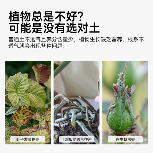 Worthlin universal nutrient soil flower soil large bag organic vegetable and flower planting soil green radish peat soil 50Jin Jin is equal to 0.5kg refined nutrient soil