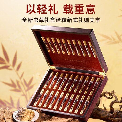 Ayishe Nourishing Gifts Cordyceps-Ernährungsprodukte, authentische Cordyceps-Geschenkbox, unzerbrechliches Gras-Tonikum für ältere Menschen, 3 Wurzeln/g, 10 g Peak Crystal Tube, Geschenkbox, 30 Wurzeln