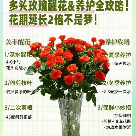 Mix and match combination of flowers. Flower shop's same carnation, rose and lily matching flower base straight hair Chinese Valentine's Day gift 5 roses + 2-3 multi-headed roses + 5 carnations + 1 bunch of random grass