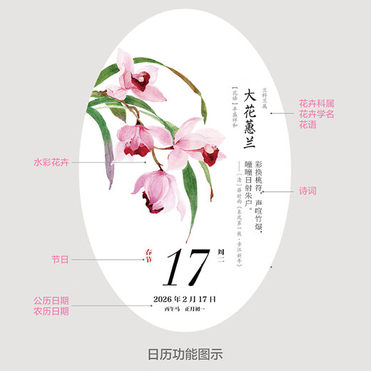 CCTV Online Flowers Bloom Sometimes Calendar Free Greeting Cards 2026 Calendar National Style Watercolor Flower Illustrations Hand Accounts and Solar Terms Poetry Calendar Bingwu Horse Year Calendar Desk Calendar Page Flip Hand-Teared Desktop Ornaments Gifts 2026 New Year Gift ZC Flowers Bloom Sometimes 2026 Calendar Specially Designed to Turn Pages