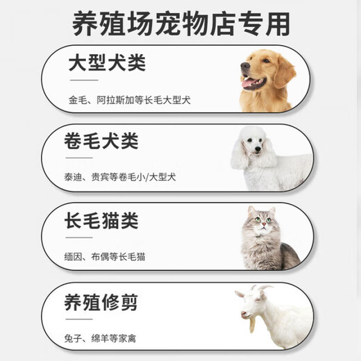 TYZAYR Japanese cat foot shaving clipper to trim the soles of the feet, electric clipper for pets, special dog shaving pusher, widened head shaver, washable + bass and low noise