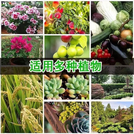 One hundred Jin Jin is equal to 0.5 kg, which is 99 urea nitrogen fertilizer, household vegetable, flower, fruit tree, corn agricultural general fertilizer, high urea 100 Jin Jin, equal to 0.5 kg, large particles