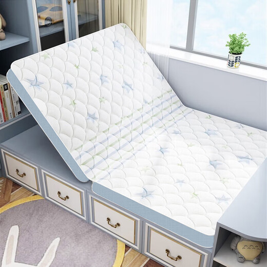 Visibility Tatami Mattress Customized Category A Maternal and Infant Grade Children's Natural Jute Coconut Palm 1.5*2 Kang Foldable Palm Hard Mat Collapse Free and precise customization Any size/shape Please consult customer service Standard model Free customization Any size/shape Please consult customer service Standard model