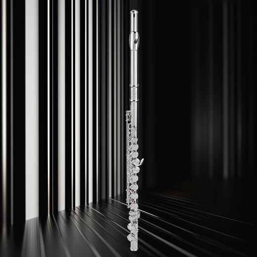 星海长笛镀银C调16键闭孔长笛初学专业院校考级乐器16孔C调镀银XF-100