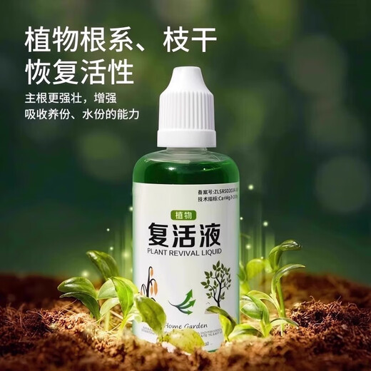 Plant and flower rejuvenation liquid is specially designed for the yellowing of plant stems and leaf drop, rapid growth and active rooting liquid to strengthen seedlings. Plant rejuvenation liquid 50ml*1 bottle, trial pack