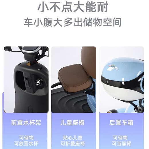 Feige electric tricycle for elderly people walking and leisure household small battery car for women new national standard electric tricycle V1 800W72V24A black gold 6 batteries about 130 miles