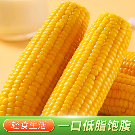 Fresh vacuum yellow corn heated ready-to-eat big sticks starting from 200g single stick for meal replacement breakfast essential supermarket live broadcast room 200g*3 sticks