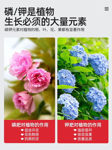 Lingwo Potassium Dihydrogen Phosphate Fertilizer Flower Special Bougainvillea Phosphate Fertilizer Household Potassium Fertilizer Flower Fertilizer Potted Plant Authentic Agricultural Explosive Large Pack Potassium Dihydrogen Phosphate 2500g*2 Barrels