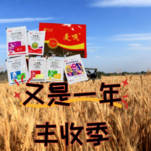 Wheat yield increase package, one spray, three prevention, high yield package, head blight, powdery mildew, insecticide, sterilization, seedling strengthening, yield increase pesticide, six-in-one (1 mu dosage)