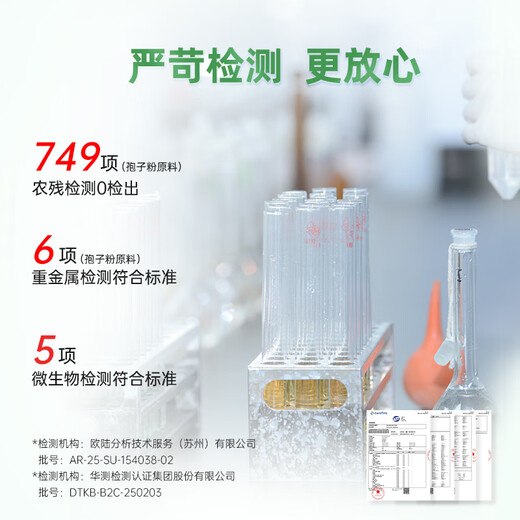 Xianzhilou Cuatro cápsulas orgánicas en polvo de esporas de Ganoderma rotas 80 cápsulas * 3 cajas de productos para el cuidado de la salud que mejoran el sistema inmunológico para adultos de mediana edad y ancianos