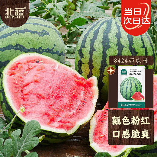 Beishu 8424 watermelon seeds seedlings Kirin sweet crisp fruit seeds 8424 watermelon seeds about 30 pieces