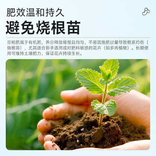 Wangtianwang functional nutrition soybean meal organic fertilizer fermented rotten protein peptide general fertilizer for fruit trees, vegetables and flowers 5Jin Jin equal to 0.5kg