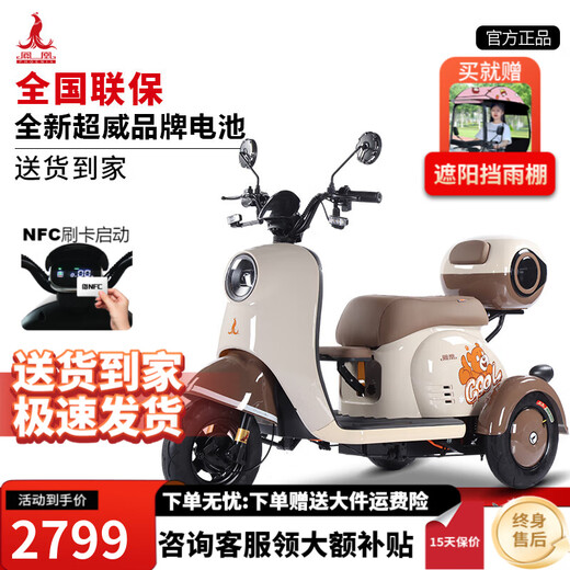 Phoenix Beetle electric car tricycle small household electric motorcycle adult leisure three-wheeled small electric car 500W+48V20A lead-acid + battery life about 40 kilometers