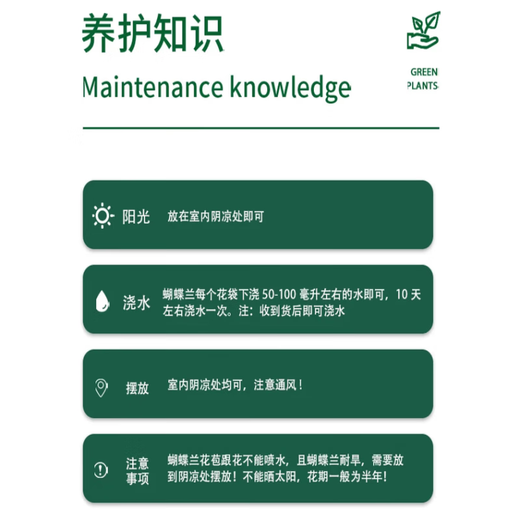 European bud Phalaenopsis potted plant with buds, living room office desktop, good for all seasons, flowers and green plants for opening, fairy pink Phalaenopsis 6 foils, with buds + ceramic flower pots, good with potted plants