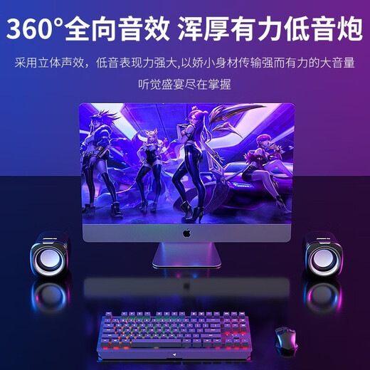 Newmine BT55 audio computer speaker wired mini small audio multimedia laptop desktop home desktop small USB high quality active subwoofer black new