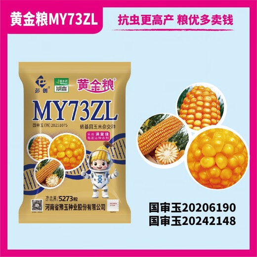 Golden Grain MY73ZL Генетически модифицированная версия Устойчива к насекомым, устойчива к глифосату, устойчива к ржавчине, семена кукурузы со стабильной урожайностью, устойчивые к болезням семена 5273 капсулы в пакете 10+1, чтобы получить 11 пакетов