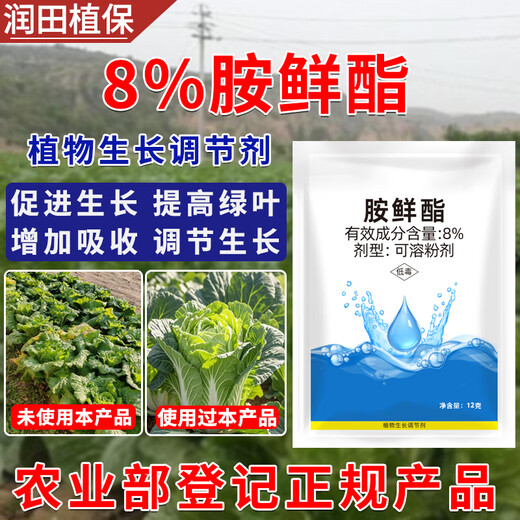 Runtian Baihu Official Genuine 8% Acetate Genuine Plant Growth Regulator Promotes Growth National Standard Wholesale 8% Acetate 12g*10 Bags
