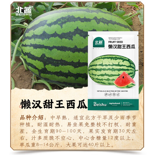 New varieties of Beishu Kirin watermelon seeds, Lazy Man, Southern Meidu watermelon seeds, Beishu Lazy Man Sweet King watermelon seeds, about 20 seeds