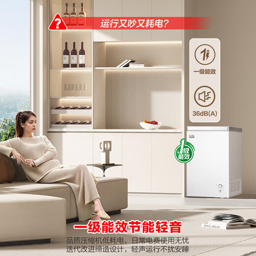 Rongsheng Hisense Microfrost 100L single-temperature household freezer PCM antibacterial liner deep-freeze fresh-keeping First-class energy efficiency energy-saving freezer BD/BC-100E10HNLAJ Trade-in subsidy BD/BC-100E10HNLAJ 100L