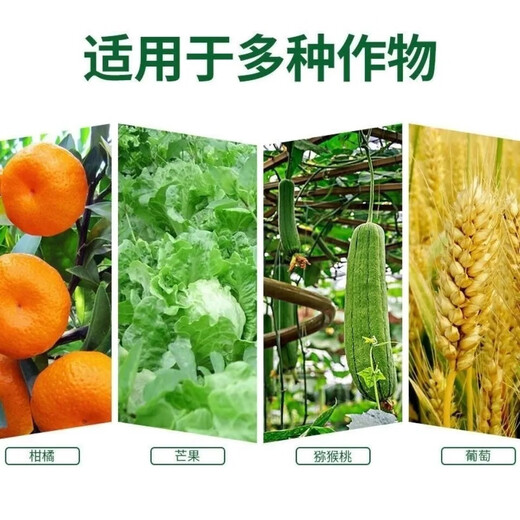 Potassium chloride potassium fertilizer high-efficiency agricultural fertilizer fully soluble instant compound fertilizer Ural crystal small particles potassium chloride one bag express delivery to villages and towns