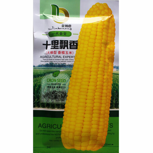 Wangyuanxing early-maturing yellow waxy corn seeds in the field, high-yield and high-quality yellow waxy corns, fragrant and waxy skins, thin and residue-free big cob corn seeds, Jinbonong white sweet and waxy/200g white sweet and waxy corns