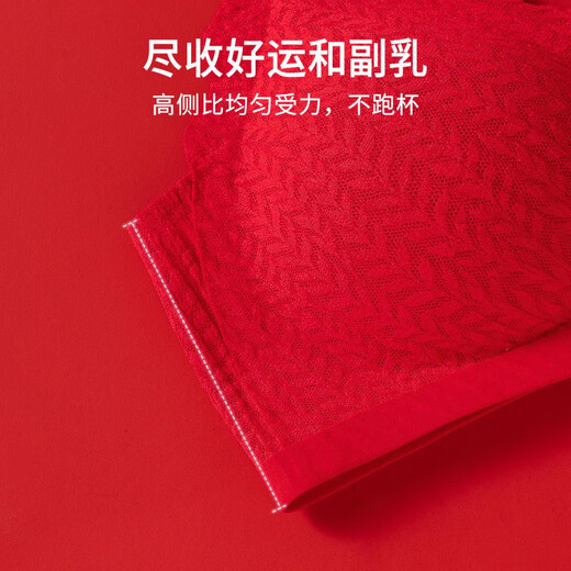 Fenton zodiac year underwear set for women with small breasts showing big push-up red underwear wedding bridal bra 2026 Year of the Horse Good things come in pairs 2 pack 3 XL (80/36ABC)