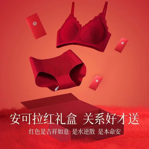 Fenton zodiac year underwear set for women with small breasts showing big push-up red underwear wedding bridal bra 2026 Year of the Horse Good things come in pairs 2 pack 3 XL (80/36ABC)