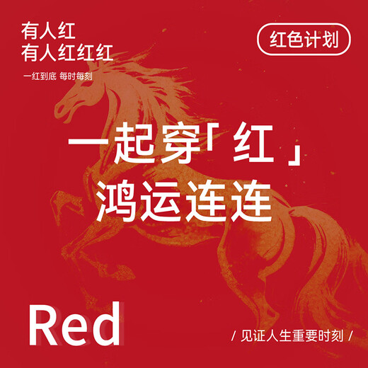 Ordifen 2026 New Year of the Horse New Year of the Zodiac Bra Set Gathered Wedding Gift Box Underwear Underwear Socks Ankora Red