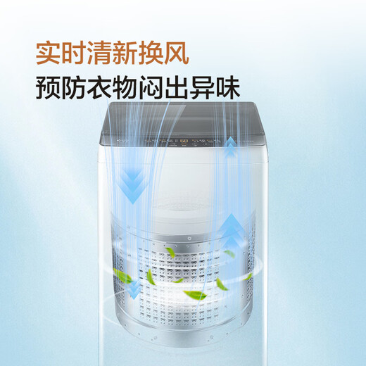 Yueji pulsator washing machine produced by Leader Haier, fully automatic home rental, 8 kg small OCC trade-in national subsidy XQB80-L539